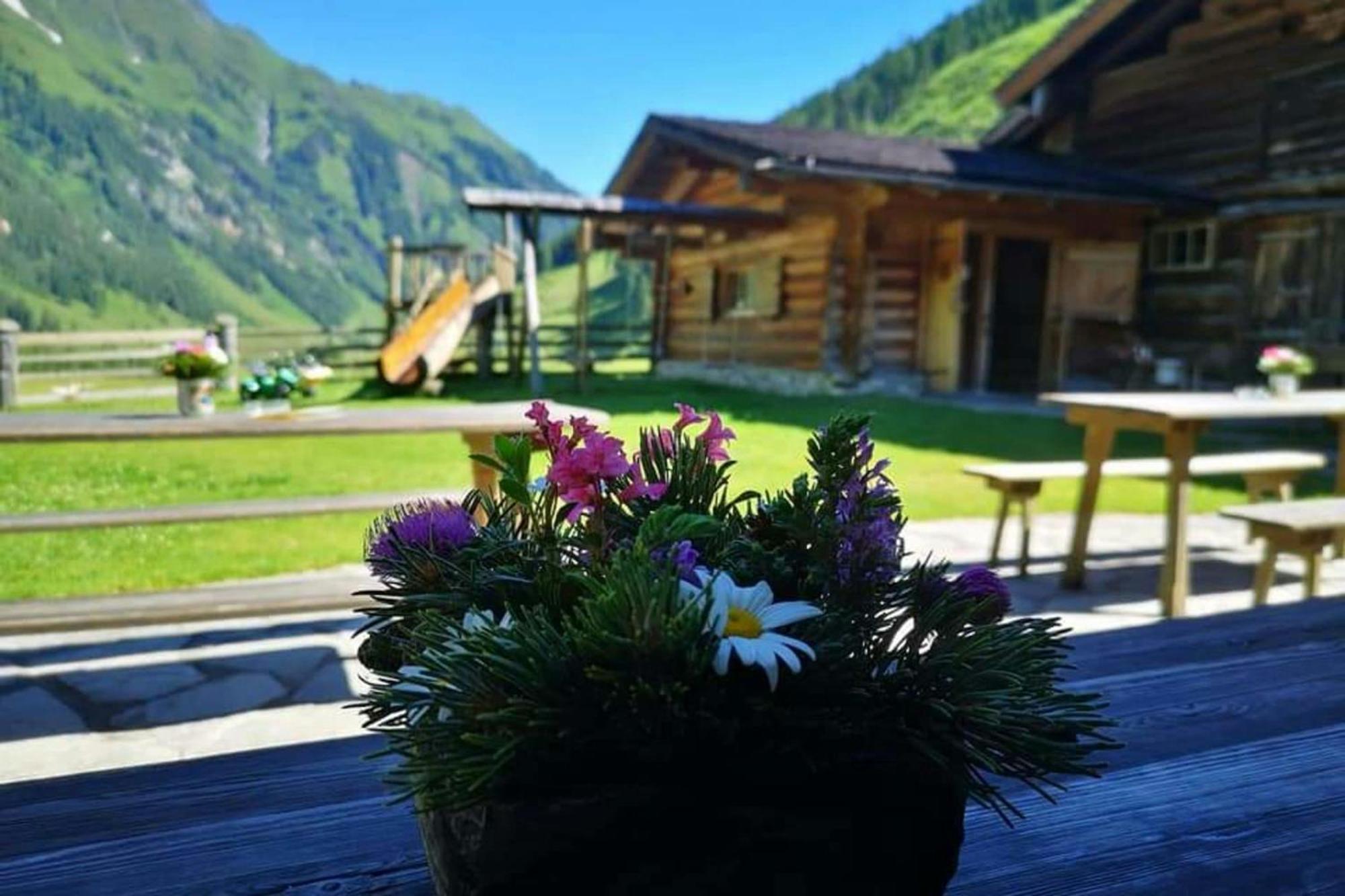 Jana 4 By Smr Rauris Apartments - Inc Spa And Near Gondola Екстериор снимка